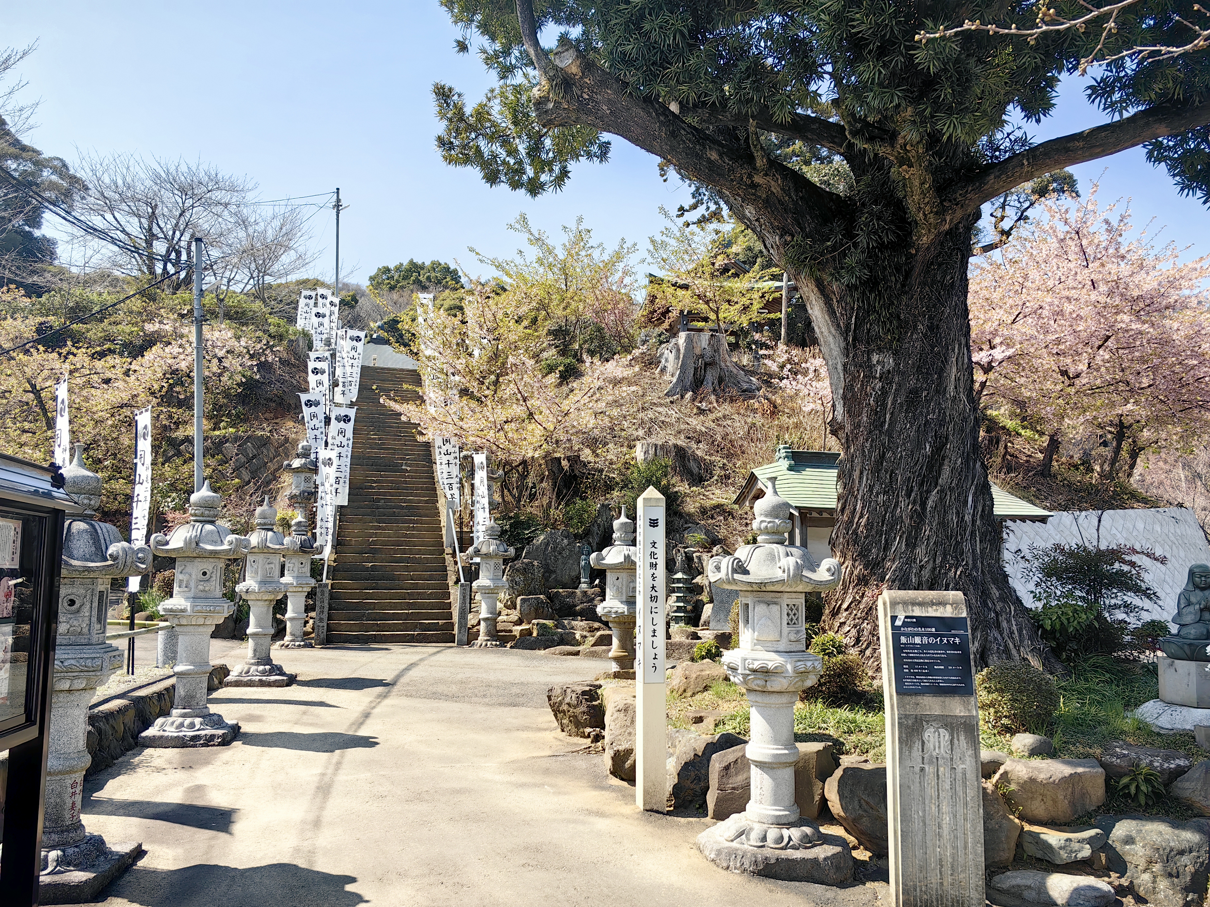 第六番 飯上山 長谷寺